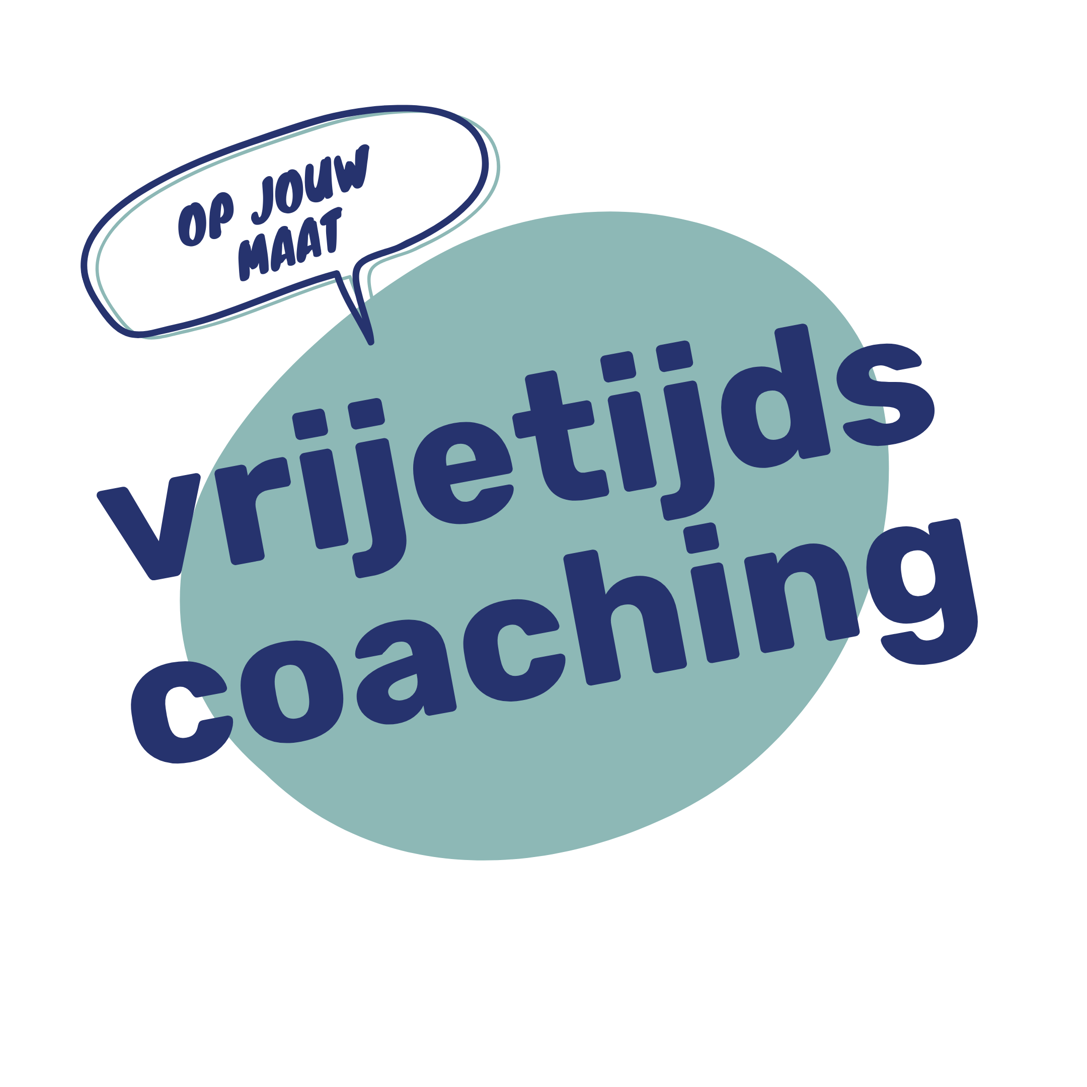 Logo VT coaching blauw
